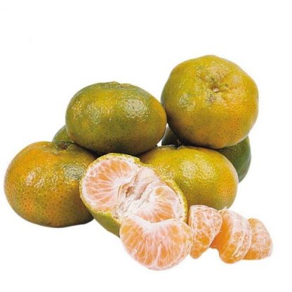 Mandarina arrayana x KG